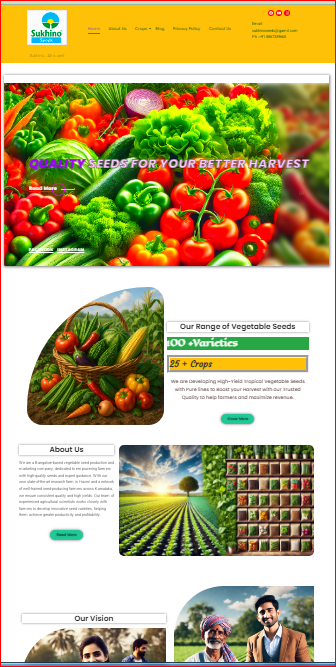 Affordable web designing